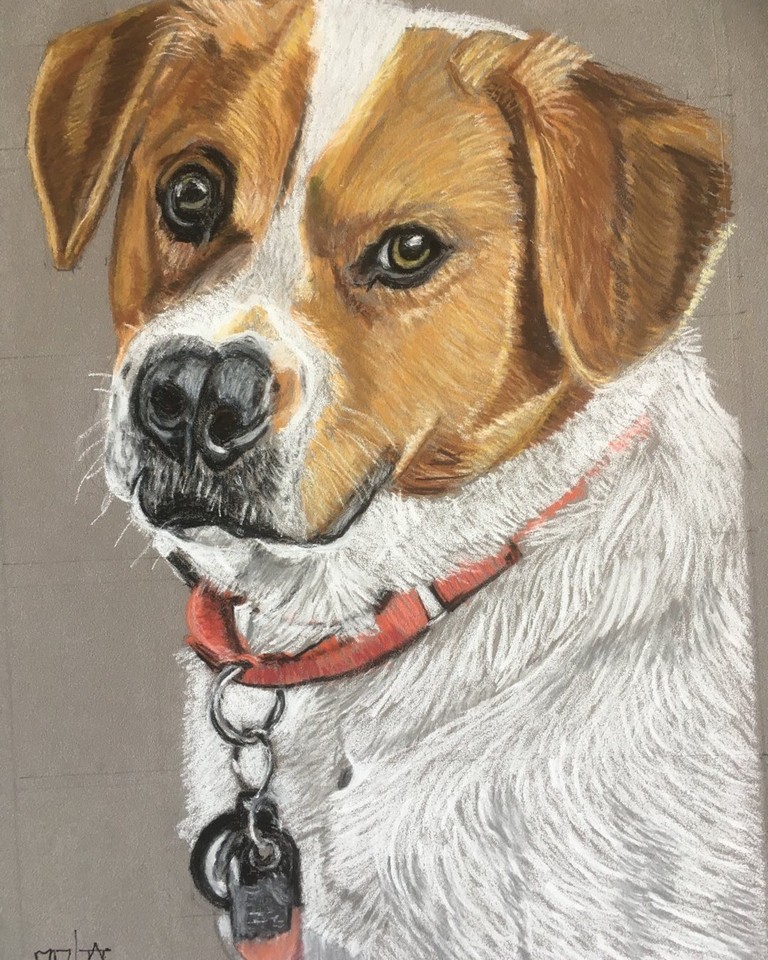 TaT-Art-Animal-Portraits-1