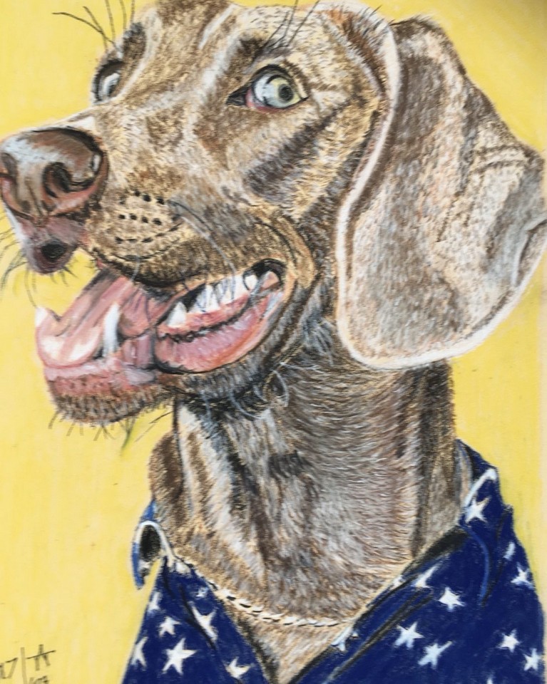 TaT-Art-Animal-Portraits-3