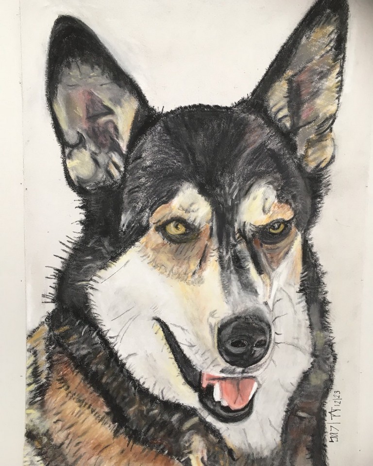TaT-Art-Animal-Portraits-5