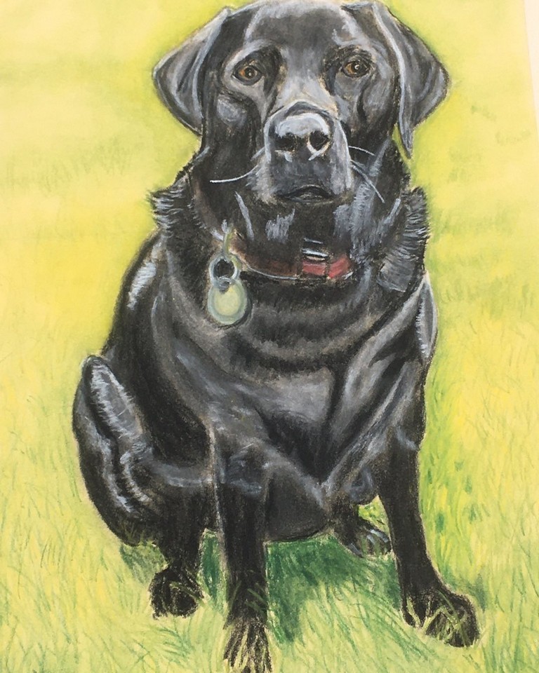 TaT-Art-Animal-Portraits-dogs4