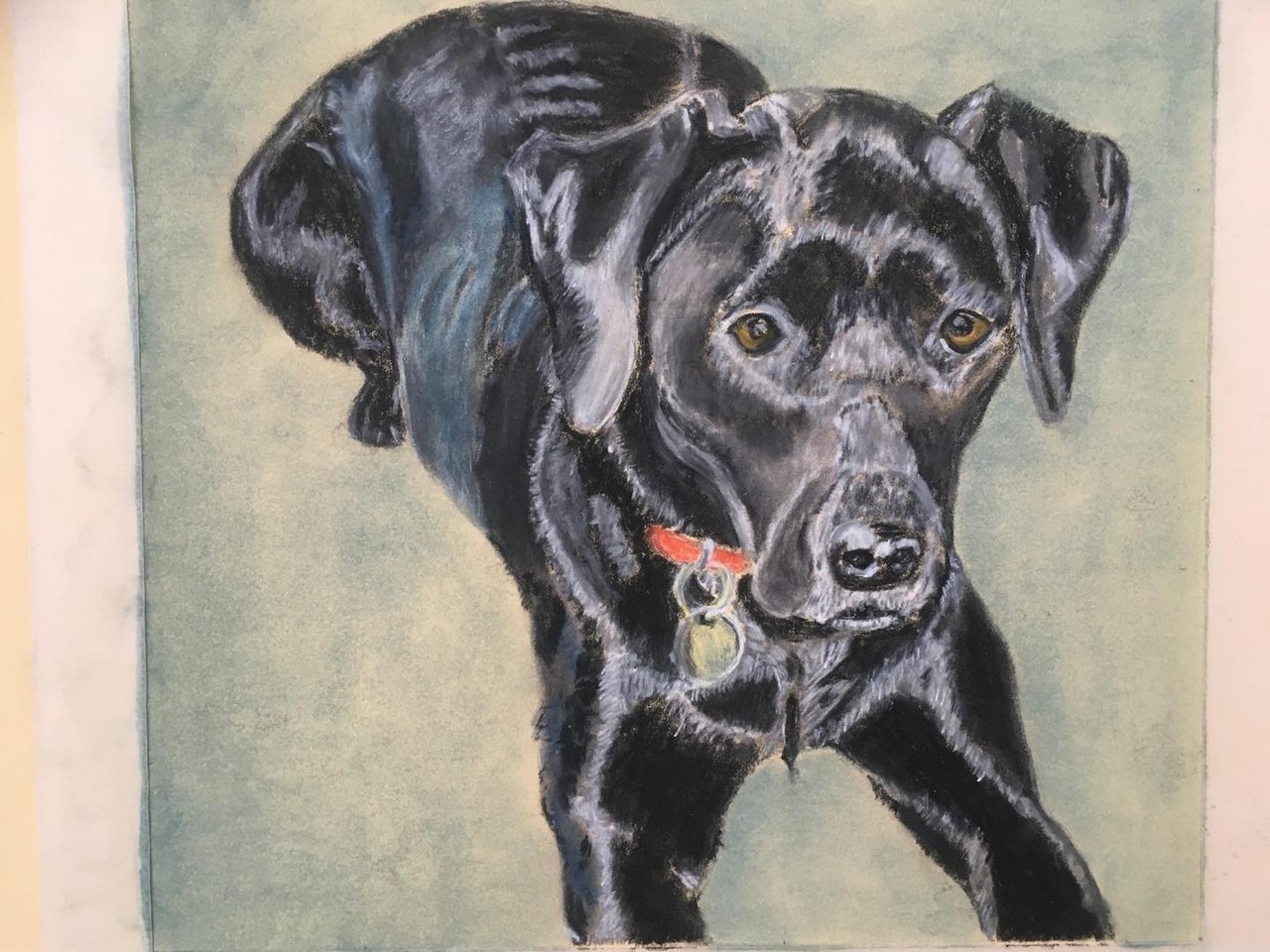 TaT-Art-Animal-Portraits-dogs5