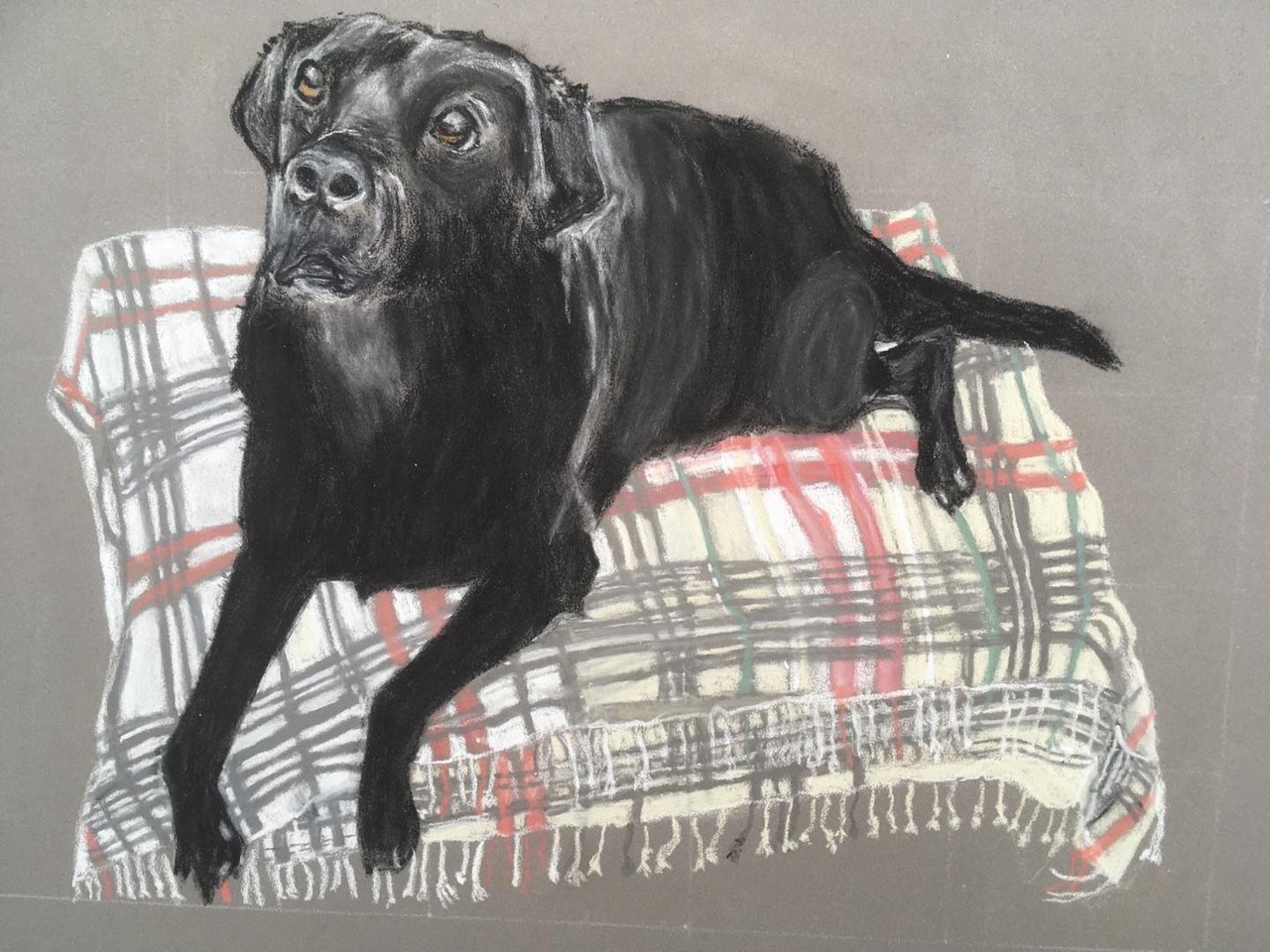 TaT-Art-Animal-Portraits-dogs6